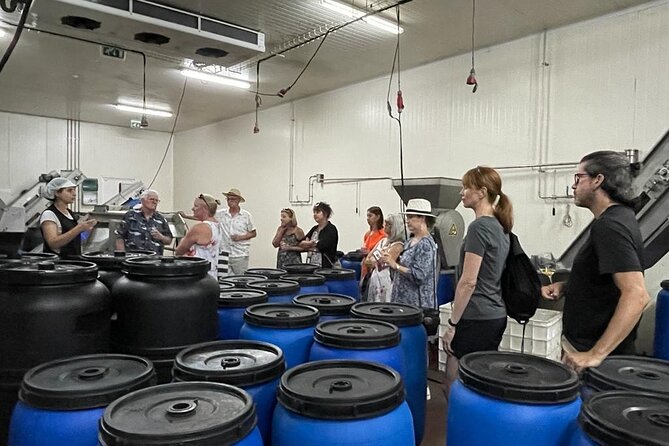 Tavira Olive Experience Factory Tour and Tasting