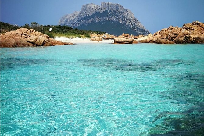Tavolara Marine Protected Area Tour (GROUP)
