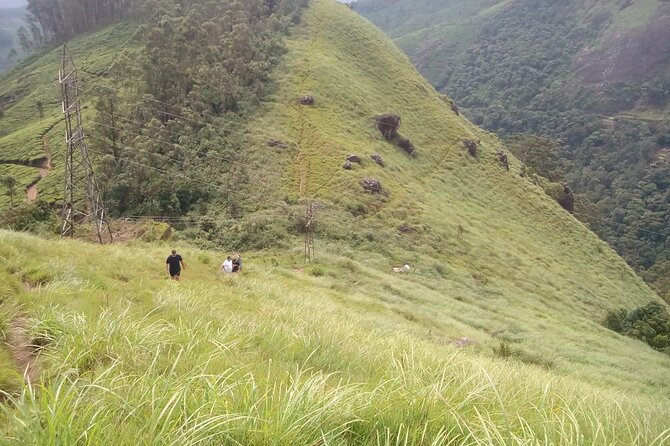 Tea Plantation, Grass Land and Mountain Hiking in Munnar