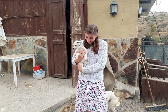 Tenerife Animal Farm Private Car Tour. Canarian Cheese and Wine