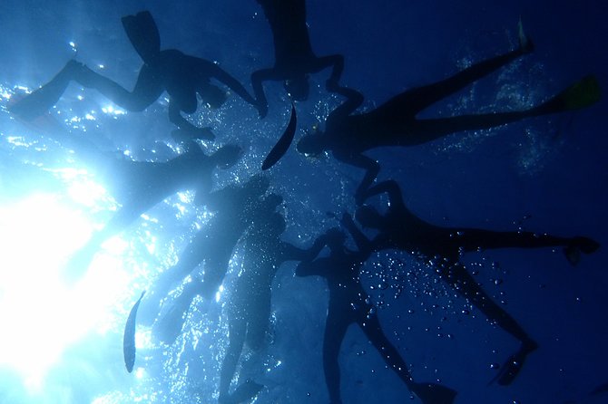 Tenerife Callao Salvaje Small-Group Snorkeling Tour