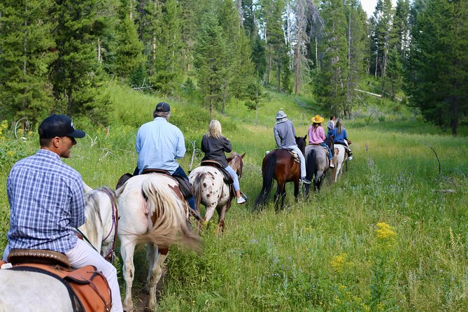 Teton View Horse Riding With Lunch