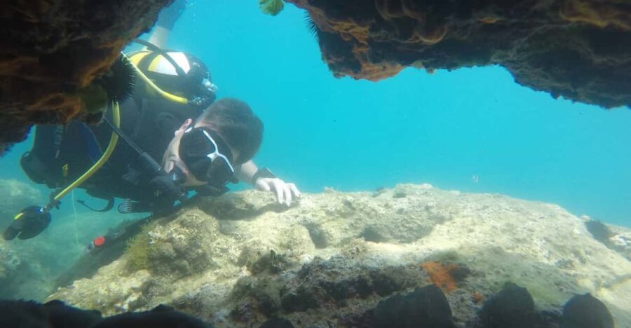 Thasos: Introductory Scuba Diving Expereince
