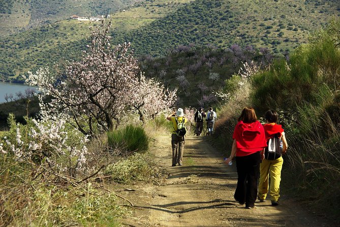 The Almond Blossom