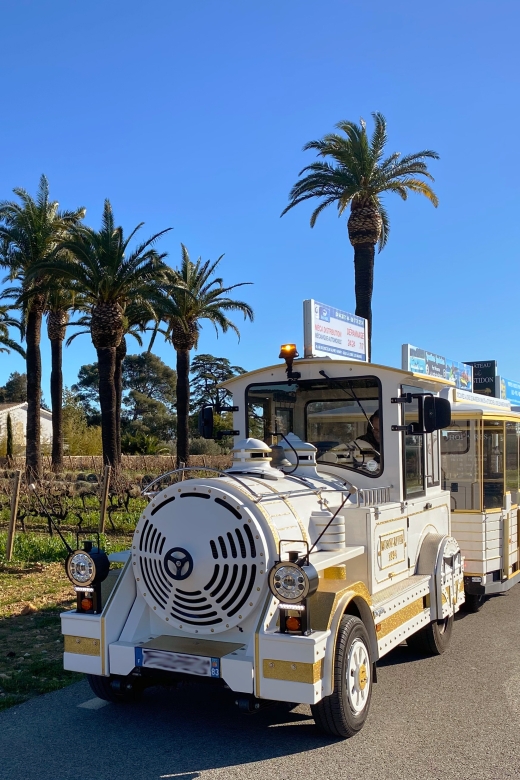 The Little Train of La Londe-les-Maures - Overview of the Activity