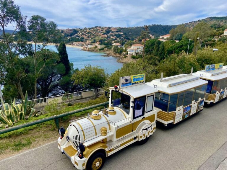 The Little Train of Lavandous Beaches