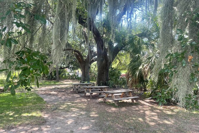 The Original New Orleans Airboat Tour With Optional Transport