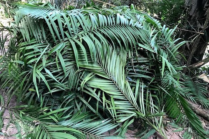 The Ultimate Hiker’S Choice – 5 Days Forest Trek With Homestay and Camping