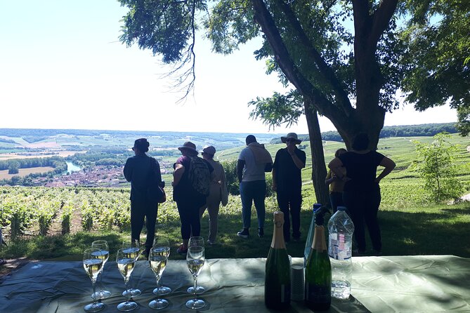 The Unmissable Champagne Tasting Vineyard View of Reims
