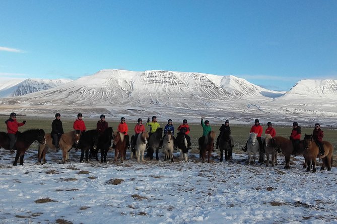 The Viking Horse Riding Experience in North Iceland