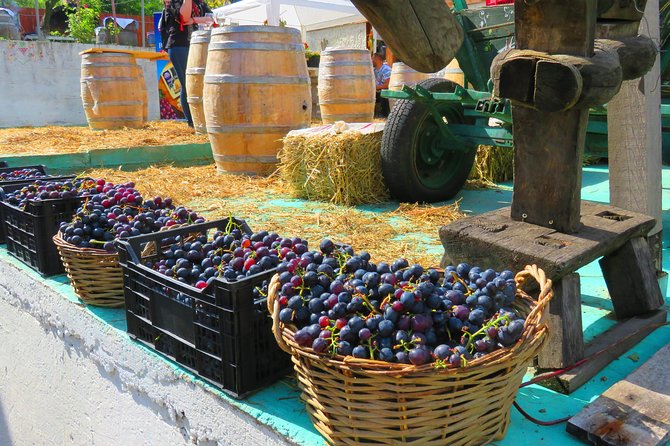 The Wine Route by Bike