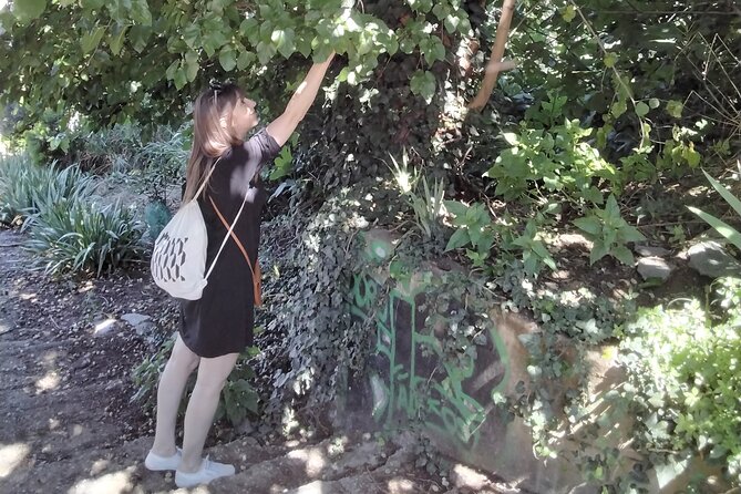 Thessaloniki Old Town Culture and Nature Herbal Walk