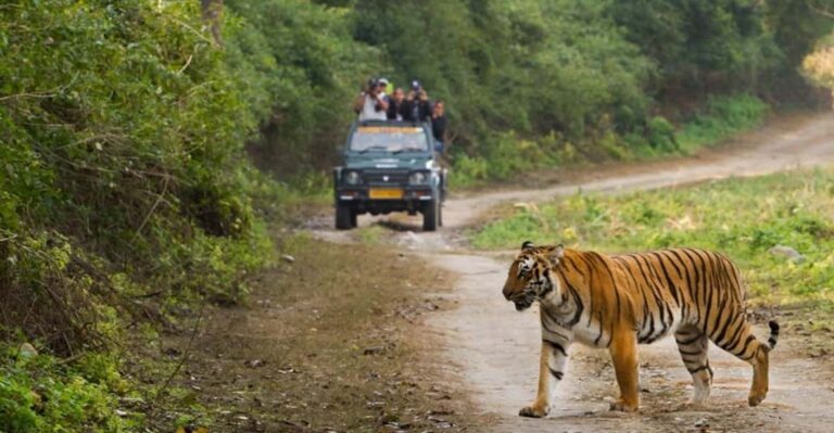 This 2-Day Tiger Safari Tour of Jim Corbett National Park