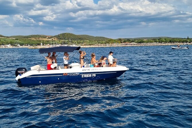 Thrilling Dolphin Encounter: Vrsars Aquatic Safari