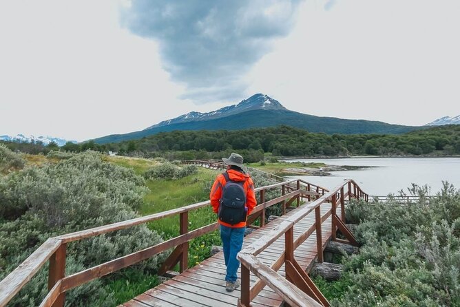 Tierra Del Fuego National Park for Cruise Travelers With Fee - Overview of the National Park