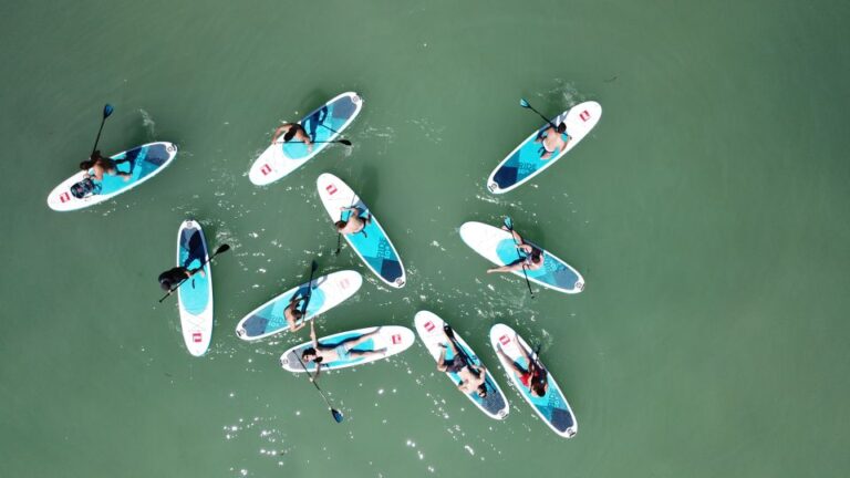 Tihany: Stand Up Paddleboarding Course at Lake Balaton