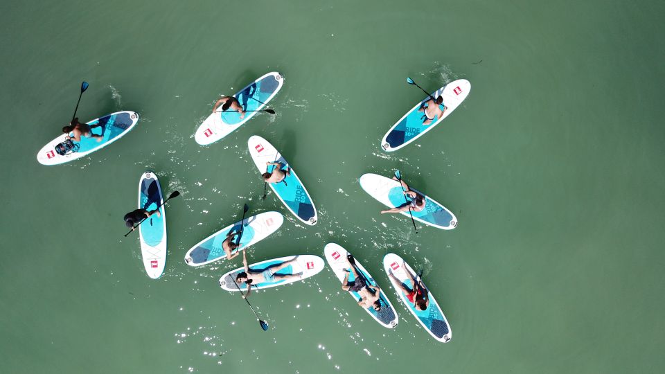 Tihany: Stand Up Paddleboarding Course at Lake Balaton - Course Overview