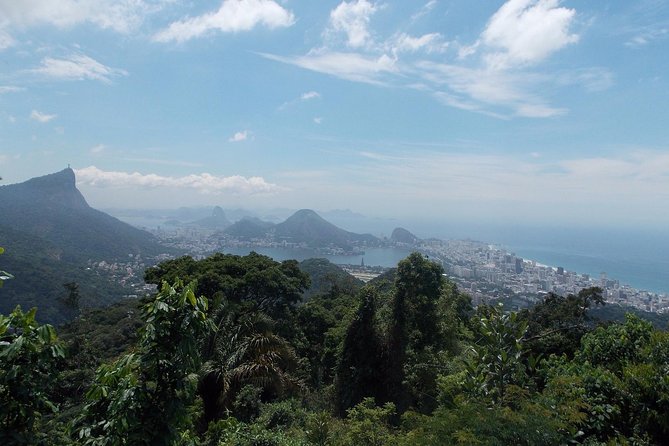 Tijuca Forest Jeep Tour