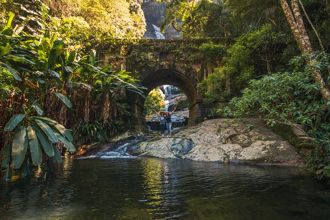 Tijuca Forest Trail - Specialized Guide and Professional Photos - Overview of the Trail