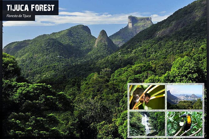 Tijucas National Park - Eco Hiking Tour