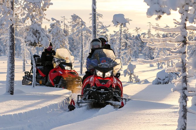 To the Kingdom of Snow and Ice – Full Day Snowmobile Safari to Ice Hotel - Overview of the Experience