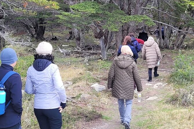 Tolhuin Natural and Gastronomic Circuit in 4×4 From Ushuaia