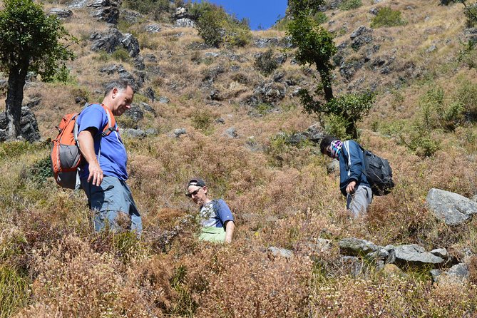 Top Tibba Day Hike and Dhanaulti Visit