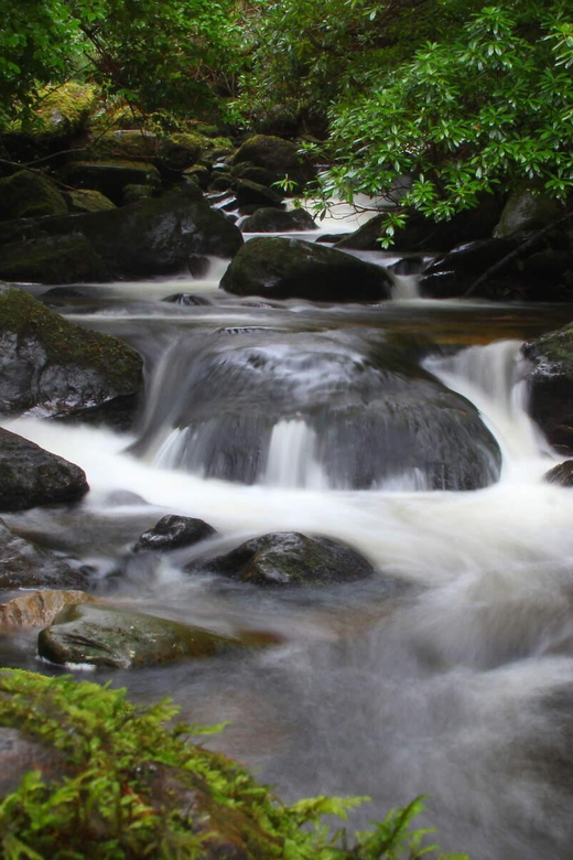 Torc Waterfall & Mountain Hike. Kerry. Private Guided. - Overview of the Hike