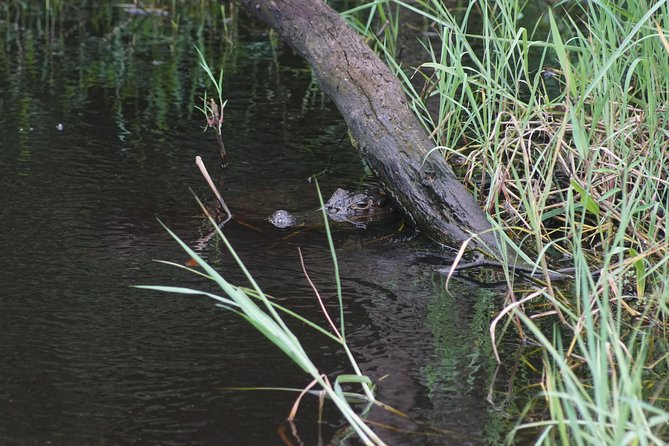 Tortugerro Canal With the Redfrogteam