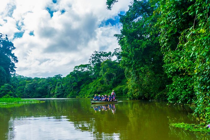Tortuguero: Canoe Tour, Day Hike, Hill Tour, Night Tour or Spawning
