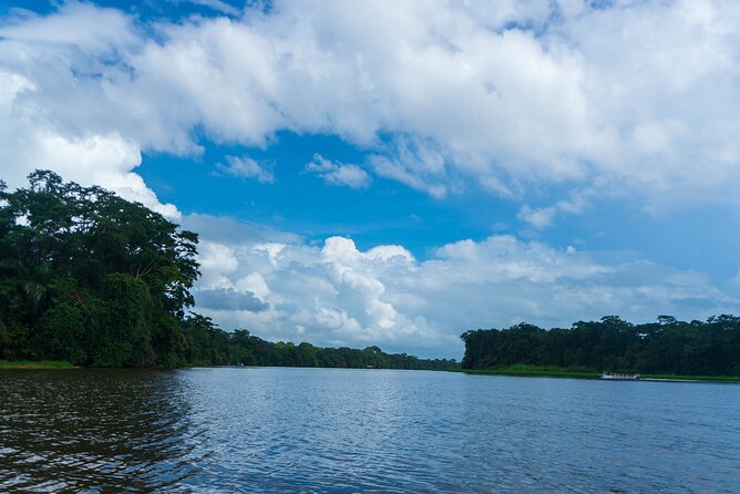 Tortuguero: Canoe Tour + Night Jungle + Cerro Viewpoint Tour