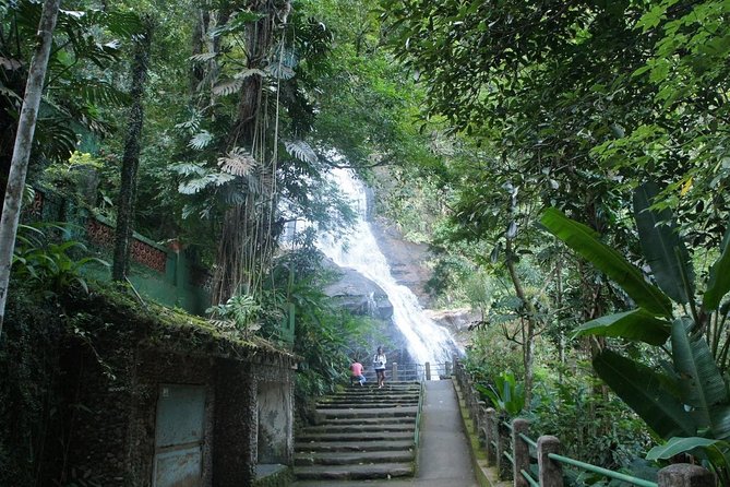 Tour 7 ( 4 Hours ) : Tijuca National Park and Favela
