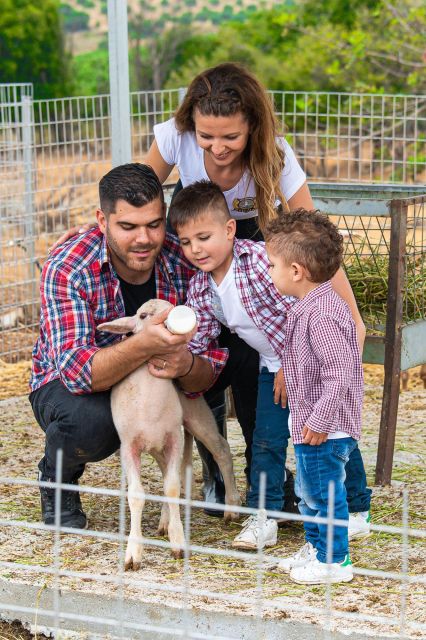 Tour at a Farm and Cheese Factory - Activity Overview