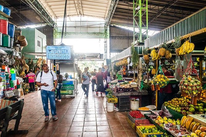 Tour Medellin Market - Market Overview