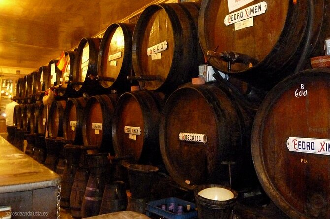 Tour Paella and Malaga Market With an Official Guide