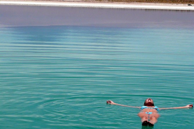 Tour to Laguna Cejar and Tibenquinche