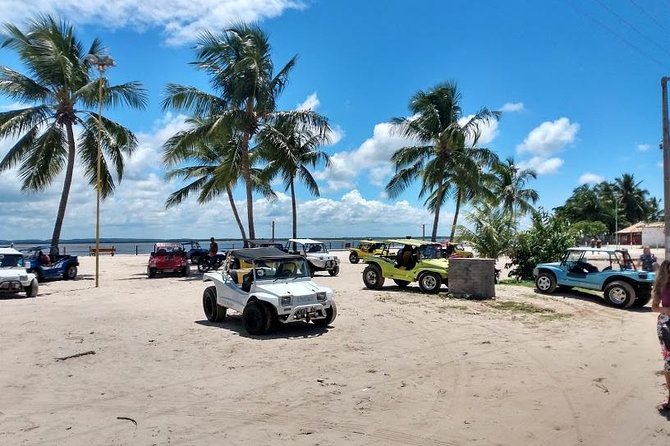 Tour to Mangue Seco, Leaving Salvador-Bahia