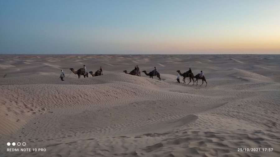Tozeur: 2-Day Desert Overnight Stay in a Tent & Camel Trek