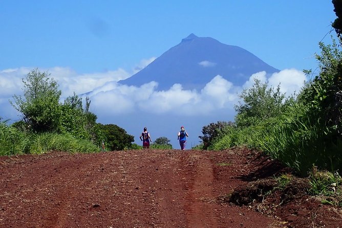 4 Best Tours In Horta