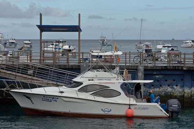 Transfer From Santa Cruz Island to Isabela Island - Overview of Transfer Service