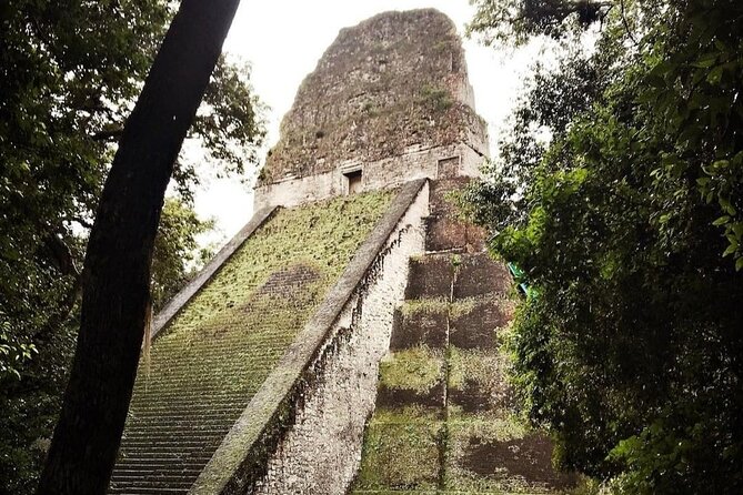 Transportation From Belize City, to Flores / Tikal Guatemala - Service Overview