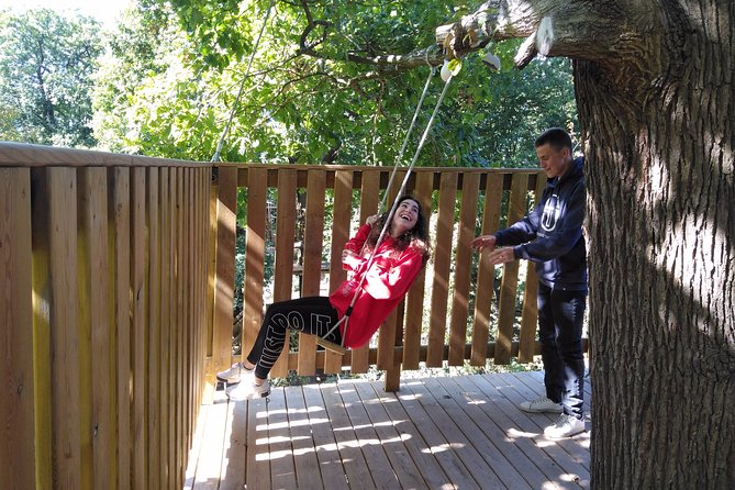 Tree Climbing Course in the Middle of the Forest in Saint-Germain-En-Laye