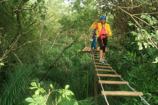 Tree Climbing In Bonito