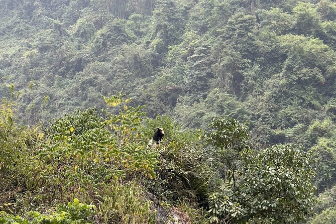 Trekking Ban Gioc Waterfall to Hidden Village on Unique Route