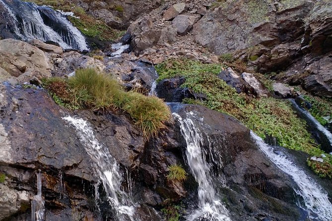 Trekking Day in the Andes (From Mendoza) - Meeting and Pickup Information