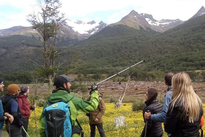 Trekking to Vinciguerra Glacier and Laguna De Los Témpanos
