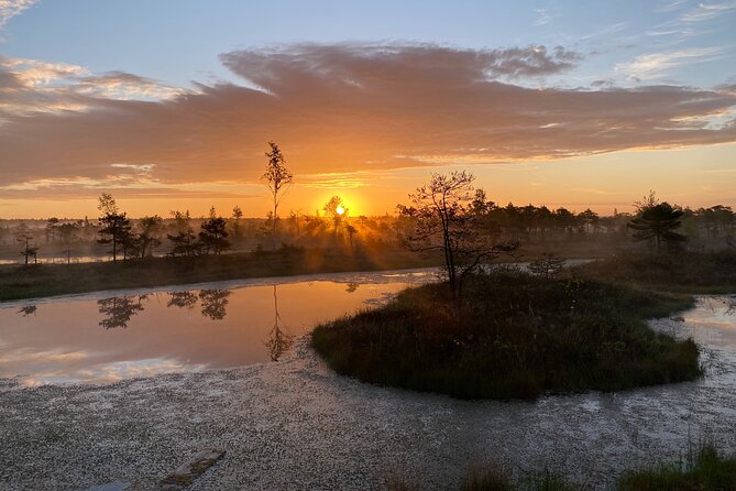 Trip to Kemeri National Park & Jurmala From Riga