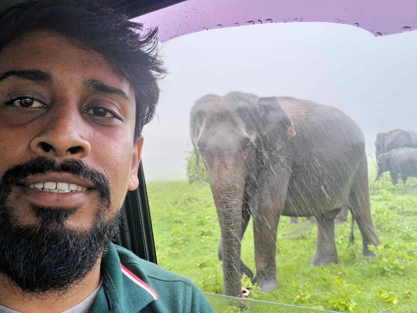 Trip to Sigiriya and Back in One Day. Day Tour Sigiriya