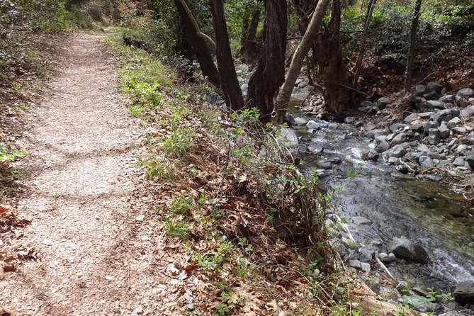 Troodos Walking Trip (Artemis +/Myllomeris Waterfalls) - Private From Nicosia - Tour Highlights