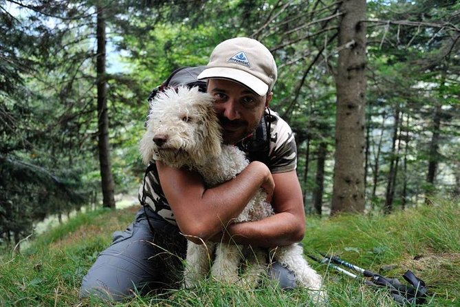 Truffle Hunting and Lunch Experience in a Restaurant